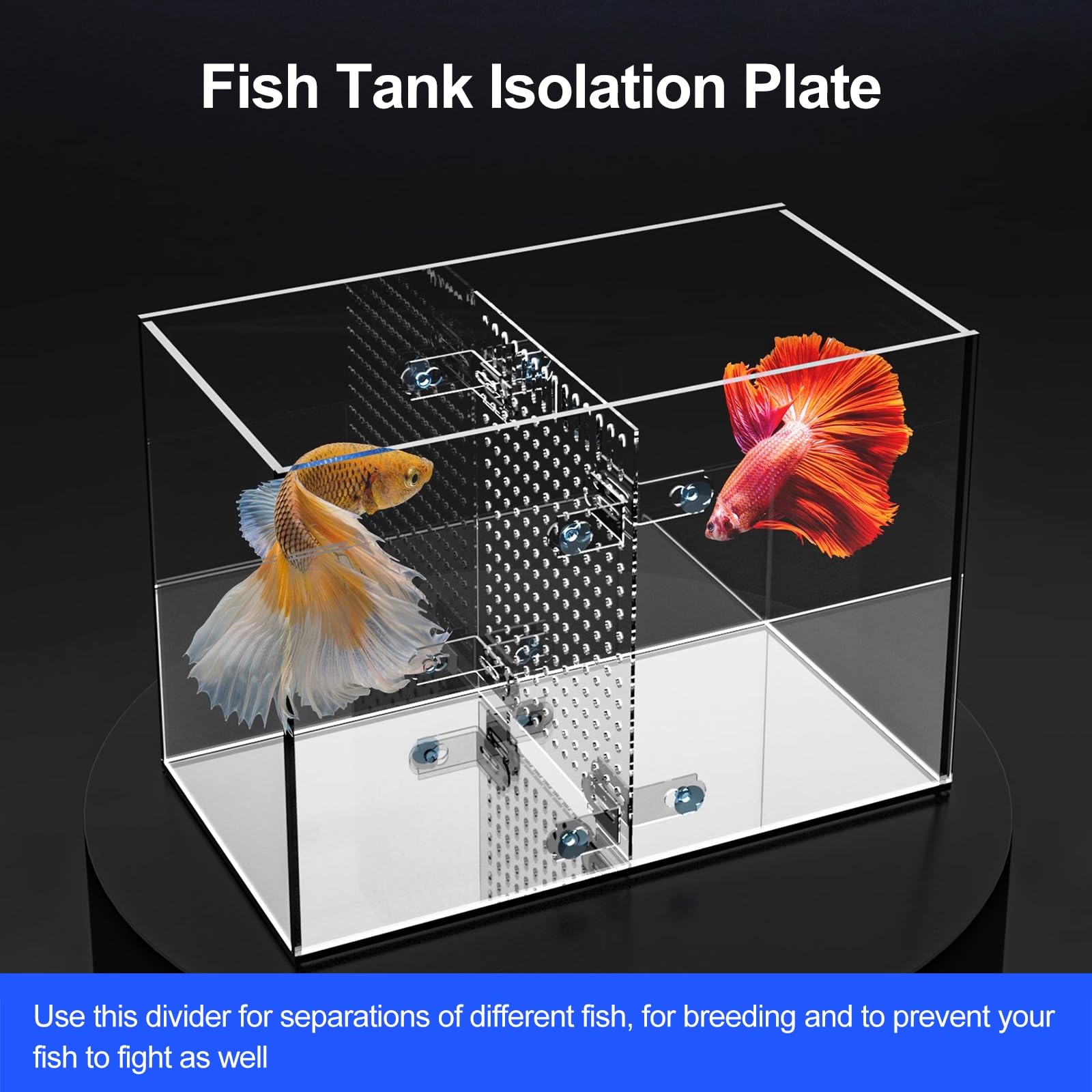 Divisor de acuario para tanque de 10 galones, separador de aislamiento acrílico transparente para la cría de peces y organización del tanque
