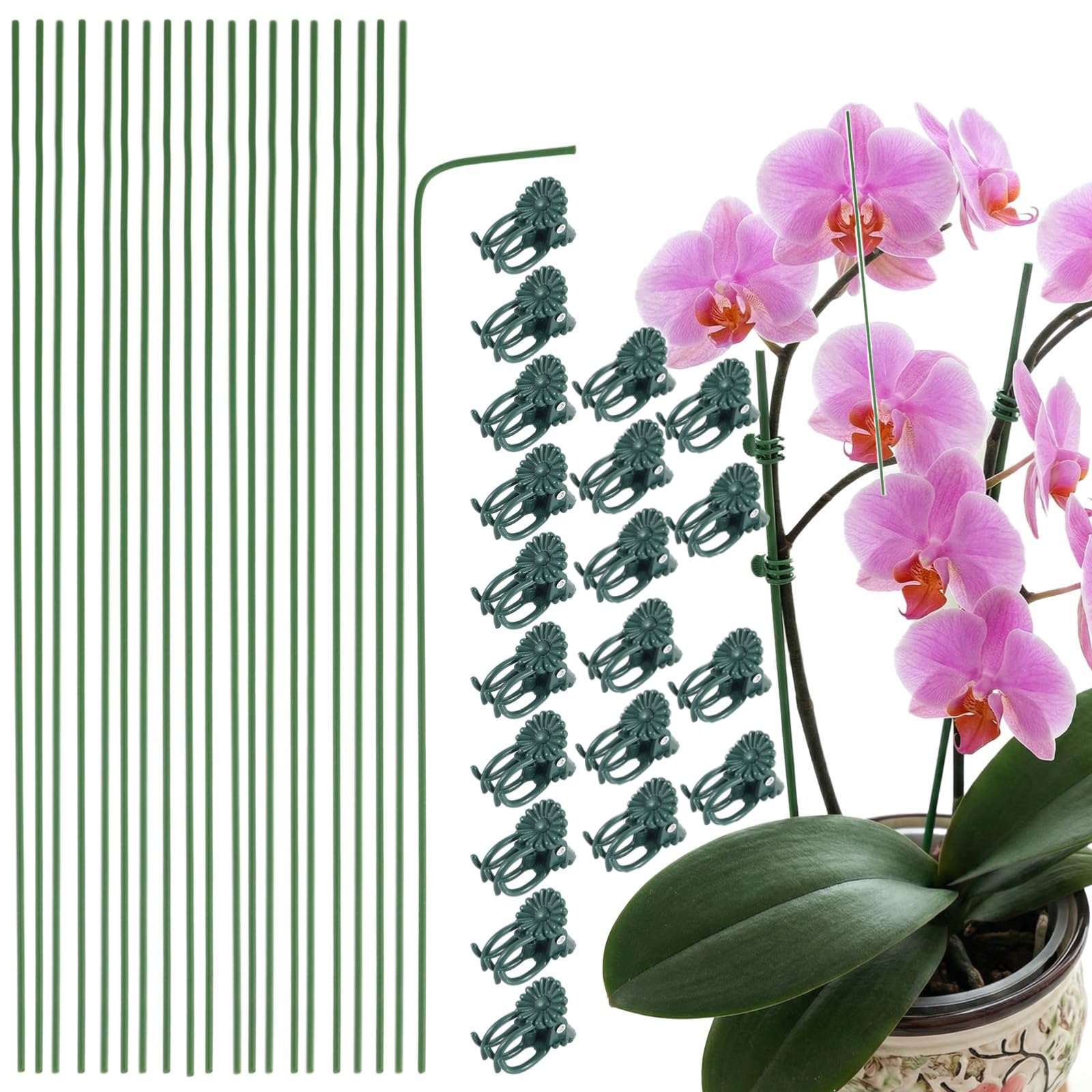 20Pcs Plant Support Stick, Climber Plant Support Ideal for Potted Orchids,Orchid Sticks and Clips, Climbing Vines, Tomatoes, Roses, and Other Tall-image-9