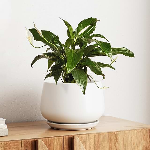 LE TAUCI Ceramic Planter, 10 Inch Plant Pot with Drainage Hole & Saucer ...