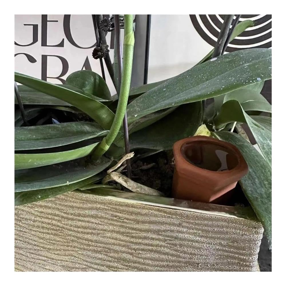 Piquets d'arrosage Automatique en Terre Cuite for Plantes en Pot(4pc)