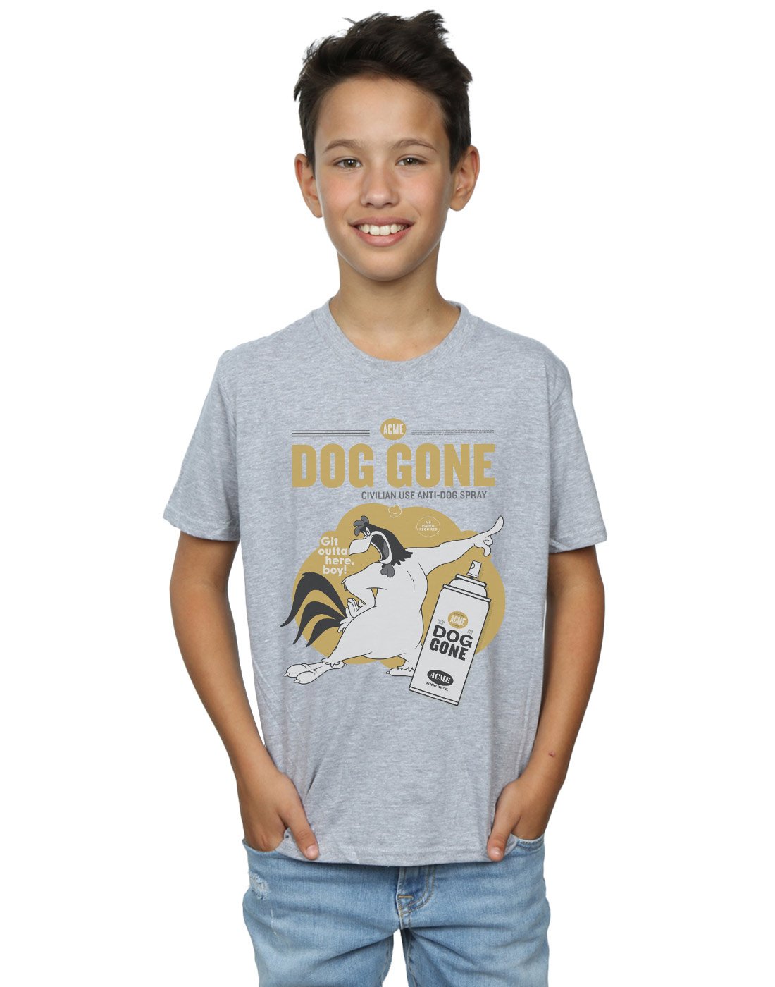 LOONEY TUNES Boys Foghorn Leghorn Dog Gone T-Shirt 5-6 Years Sport Grey