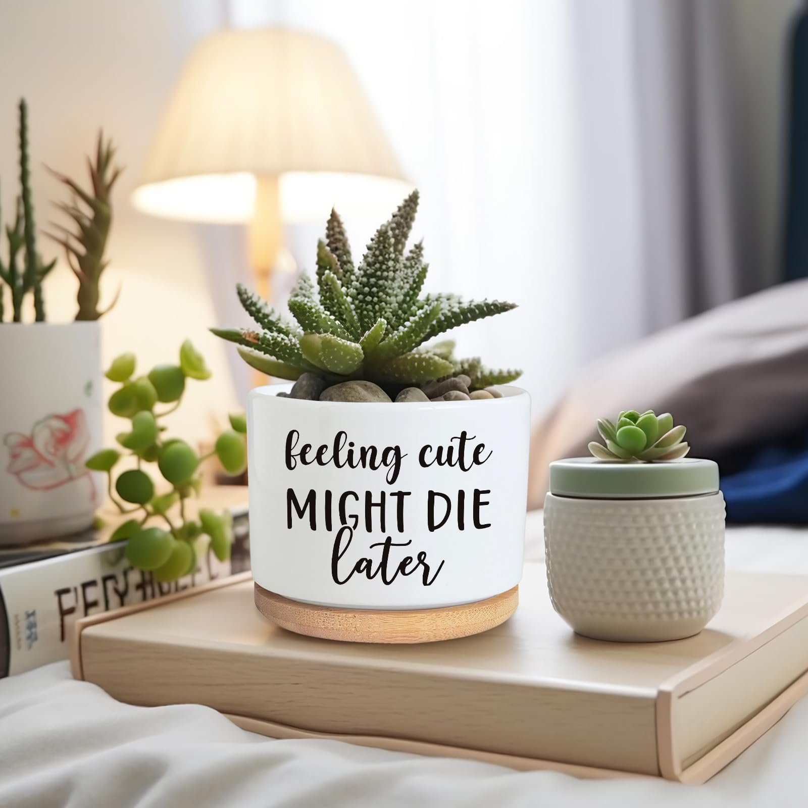 PZJIEAN Divertidas macetas suculentas, bonita maceta pequeña de cerámica de 3.5 pulgadas con drenaje, divertida maceta para cactus suculentas, regalos inspiradores de agradecimiento para los amantes