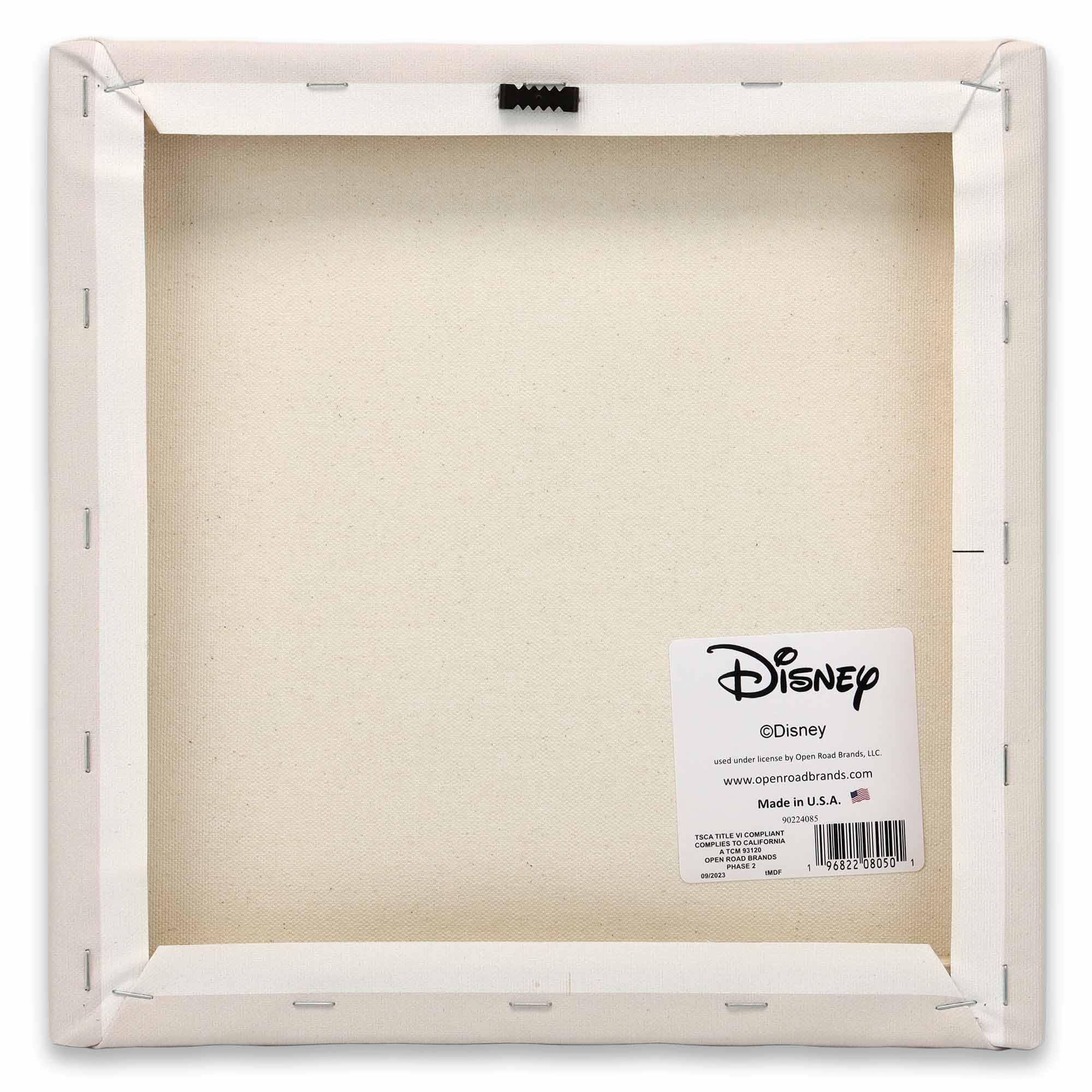 Open Road Brands Disney Moana, Pua und Hei Hei Galerie Leinwand-Wanddekoration, bezaubernde Moana-Wandkunst für Kinderzimmer oder Spielzimmer