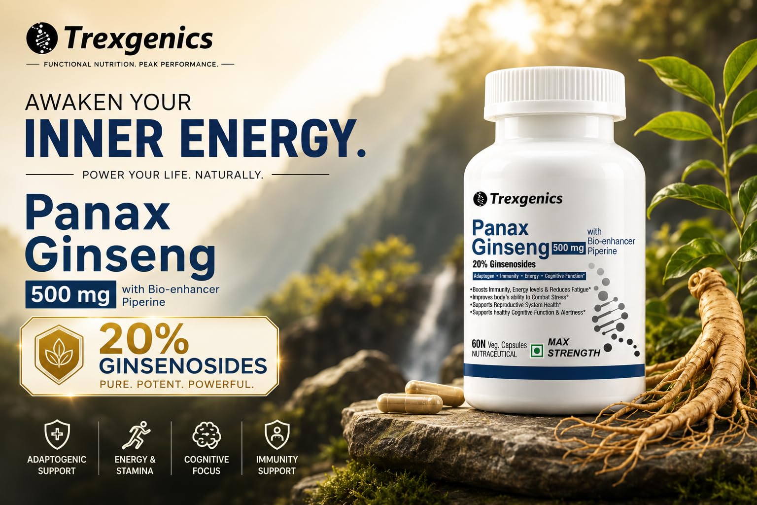 Trexgenics PANAX (Red/Korean) GINSENG 20% Ginesenosides 500mg Premium with Bio-enhancer Piperine 5mg Adaptogen, Immunity, Energy, Cognitive Function(60 Vcaps) (Pack of 3) 1
