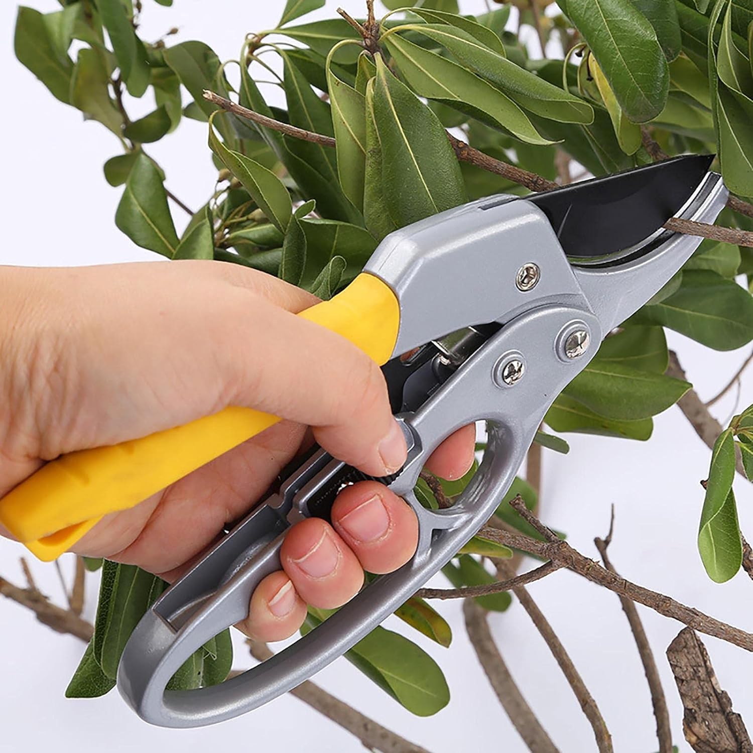 CASSARINA Advanced pruning shears, enhanced garden shears, sharp gardening shears, ergonomics and labor-saving ratchets pruners, 3 times labor-saving gardening shears (B0CKWDKZ23) Amazon Price History, Amazon Price Tracker