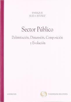 Sector Público - Delimitaci...