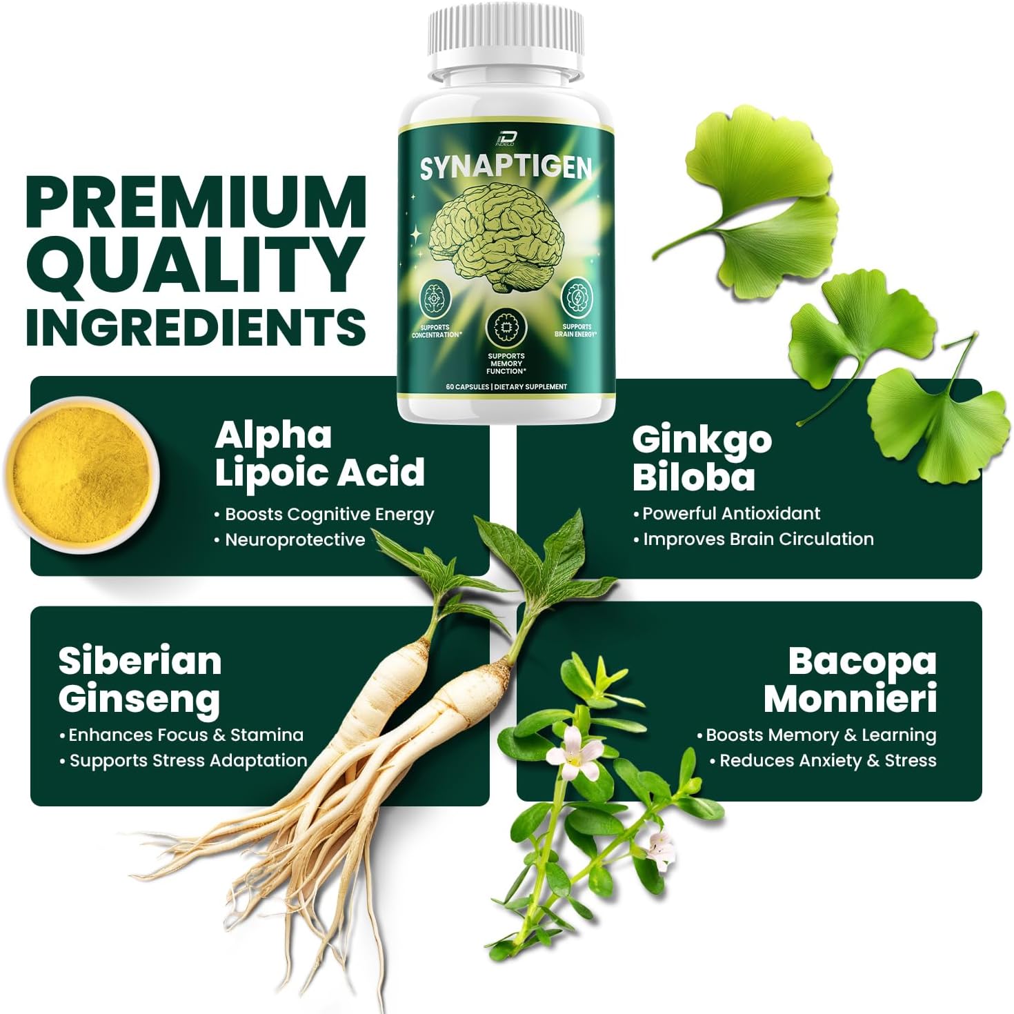 Synaptigen Supplement Capsules – Synaptigen All Natural Maximum Strength Formula Focus Memory Support and Reviews (2 Pack – 120 Capsules) - Image 4