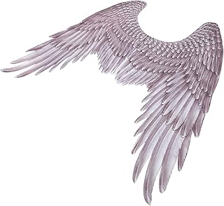 COLLBATH Asas De Halloween Fantasias De Halloween Para Adultos Roupas De Dramatização Asas Negras Halloween Asas Pretas Cosplay Asas Grandes Asas De Anjo Halloween Asas Cosplay Não Tecidas