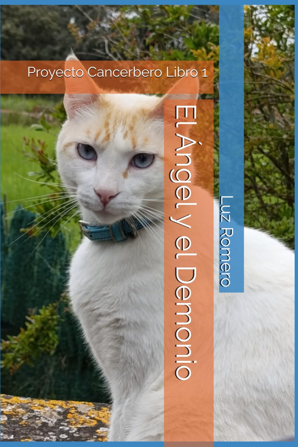 El angel y el demonio: Proyecto Cancerbero Libro 1