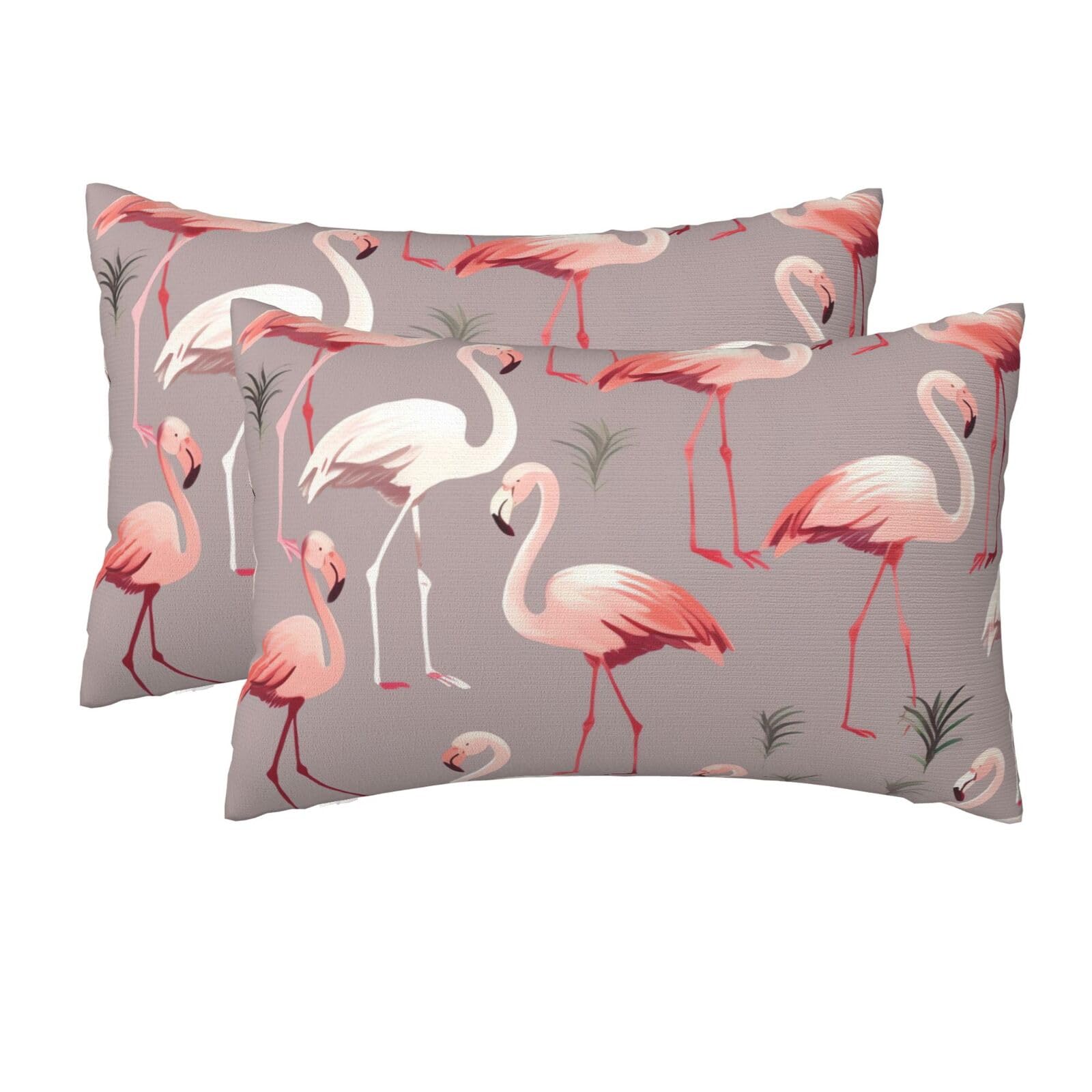2 Pack Queen Pillow Cases with Hidden Zipper, Soft Breathable Pillow Covers for Hair and Skin, Pink Flamingo Pattern Pillowcases 20"x30" Bed Pillow Protectors Cover for Sleeping Gifts