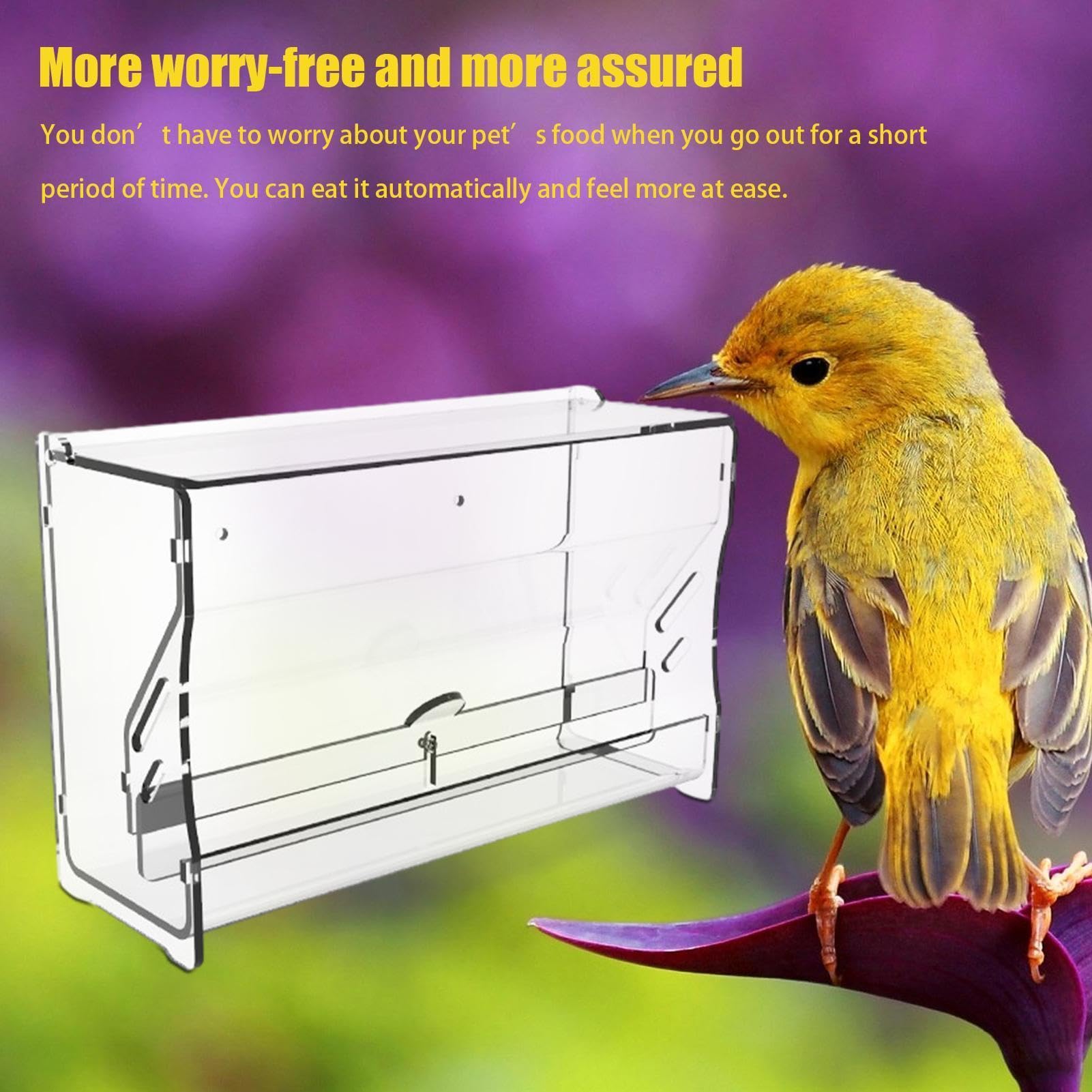 Przepiórka podajnik wody ptaki podajniki wody dozownik papuga podajnik