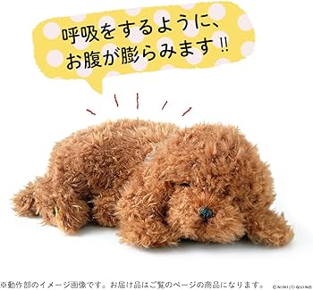 716AC8wL27L._AC_UF350,