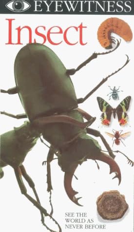 Eyewitness: Insect [VHS] : Andrew Sachs: Amazon.co.uk: DVD & Blu-ray