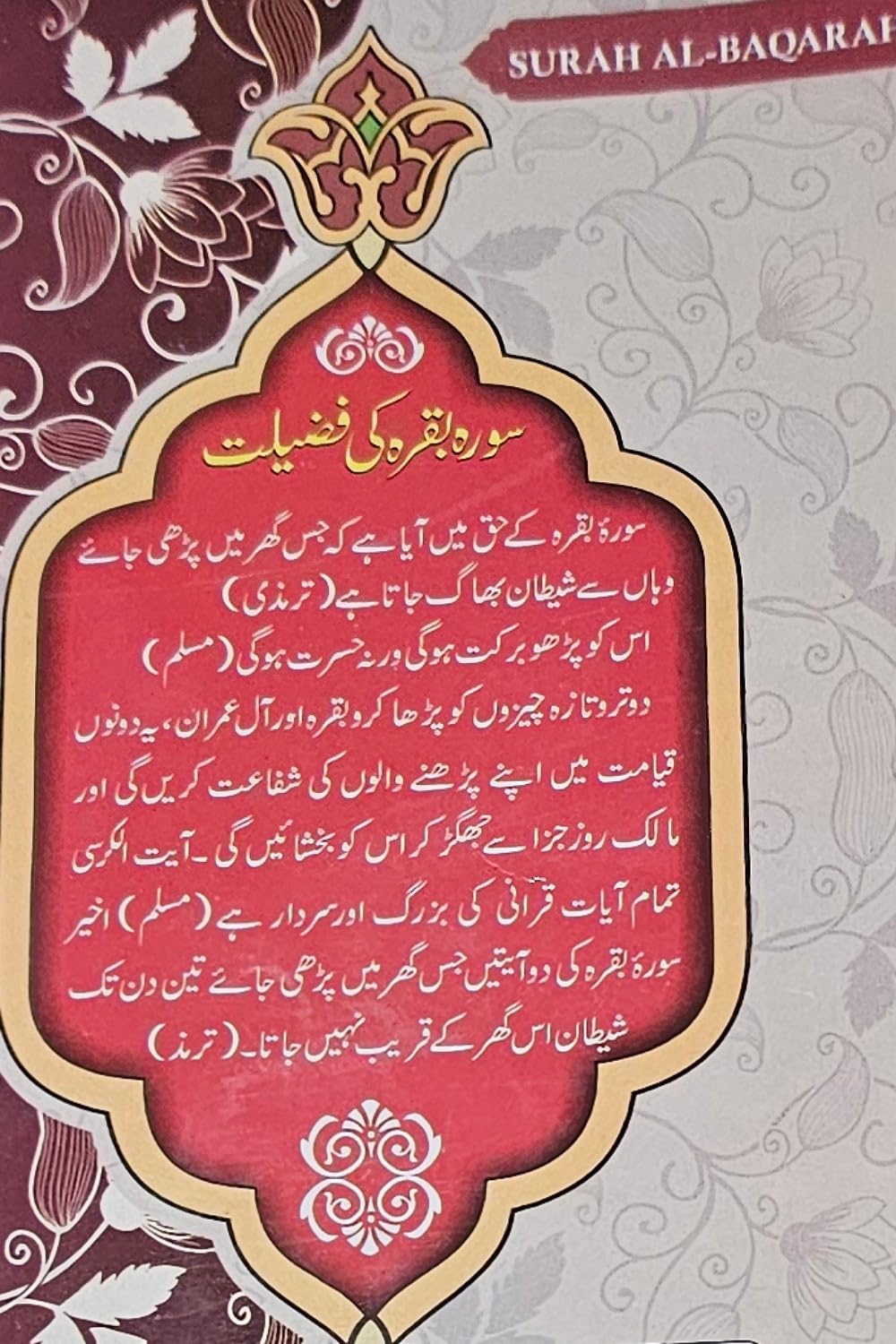 Surah Al Baqarah [Arabic] [Hardcover] Dr. V. Abdur Rahim