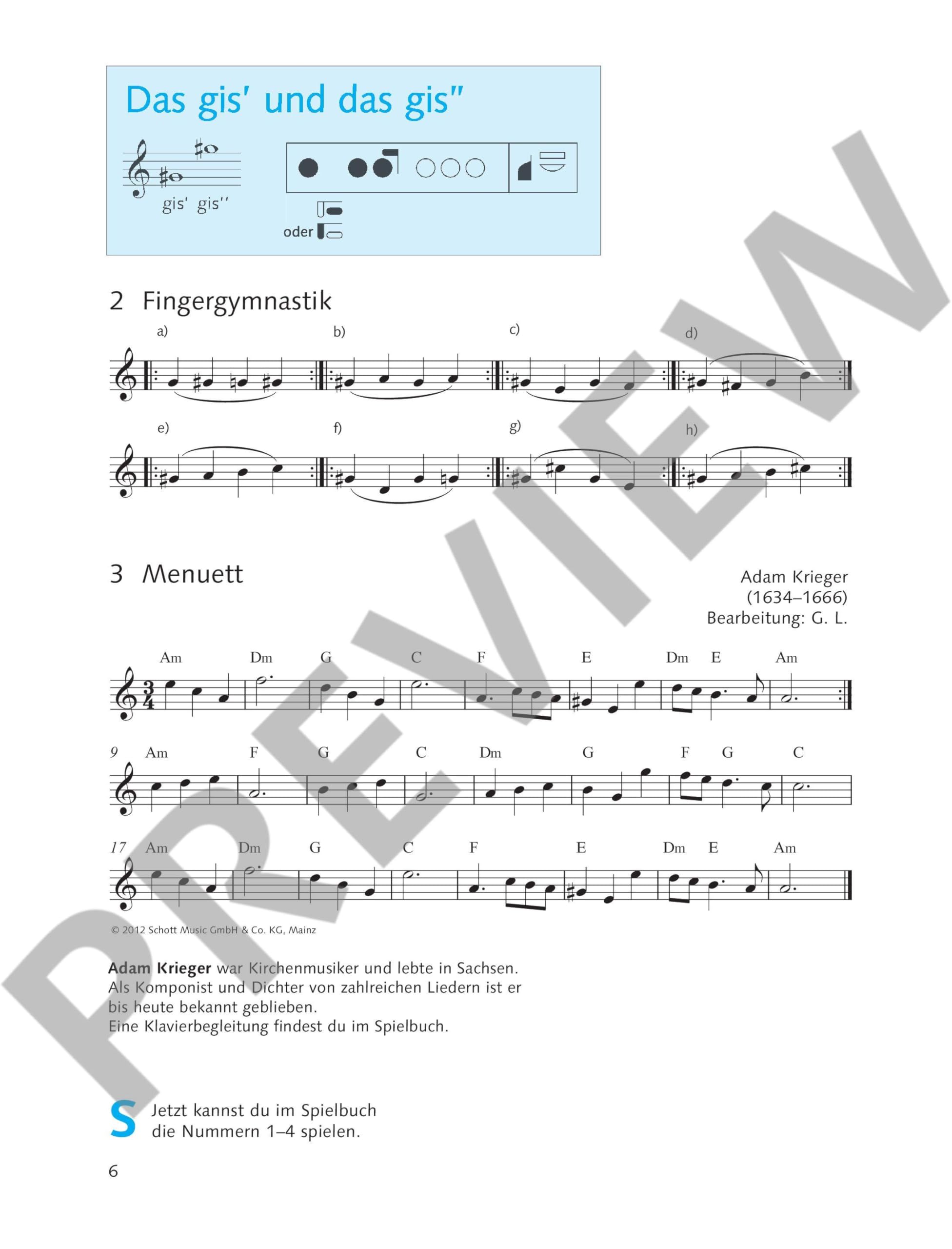 Die fröhliche Querflöte: Querflötenschule für den Einzel- und Gruppenunterricht. Band 2. Flöte.