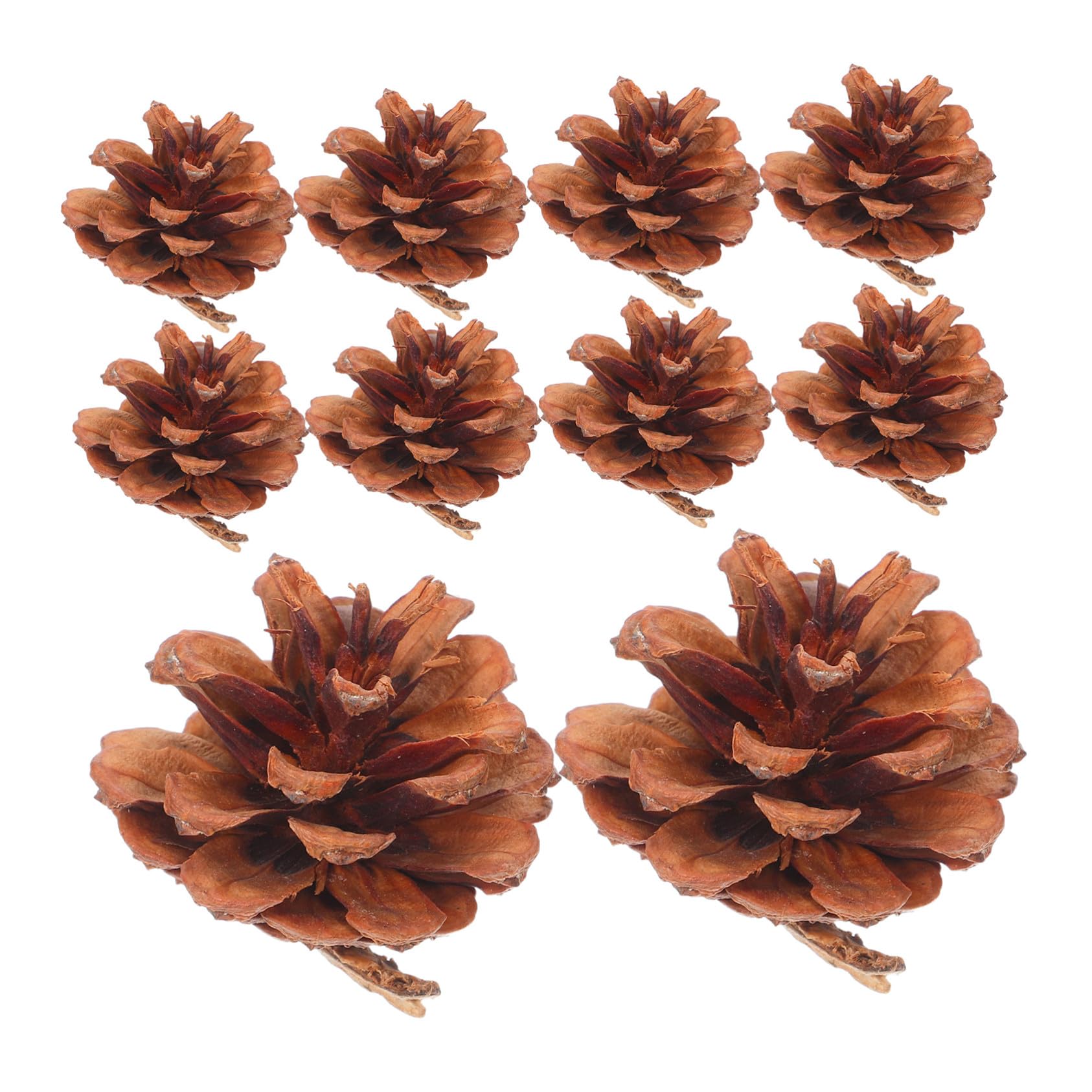 Pommes de pin naturelles de Noël pour remplissage de vases et bricolage créatif d'automne