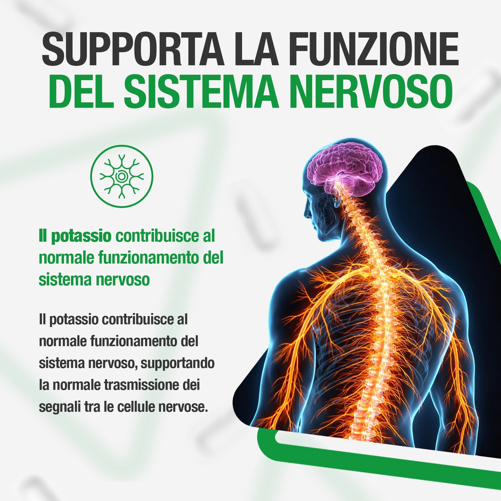 Potassio Integratore Capsule 99mg - 100 pz di Capsule a Disgregazione Rapida con 99 mg Gluconato di Potassio Polvere Puro Qualità Premium
