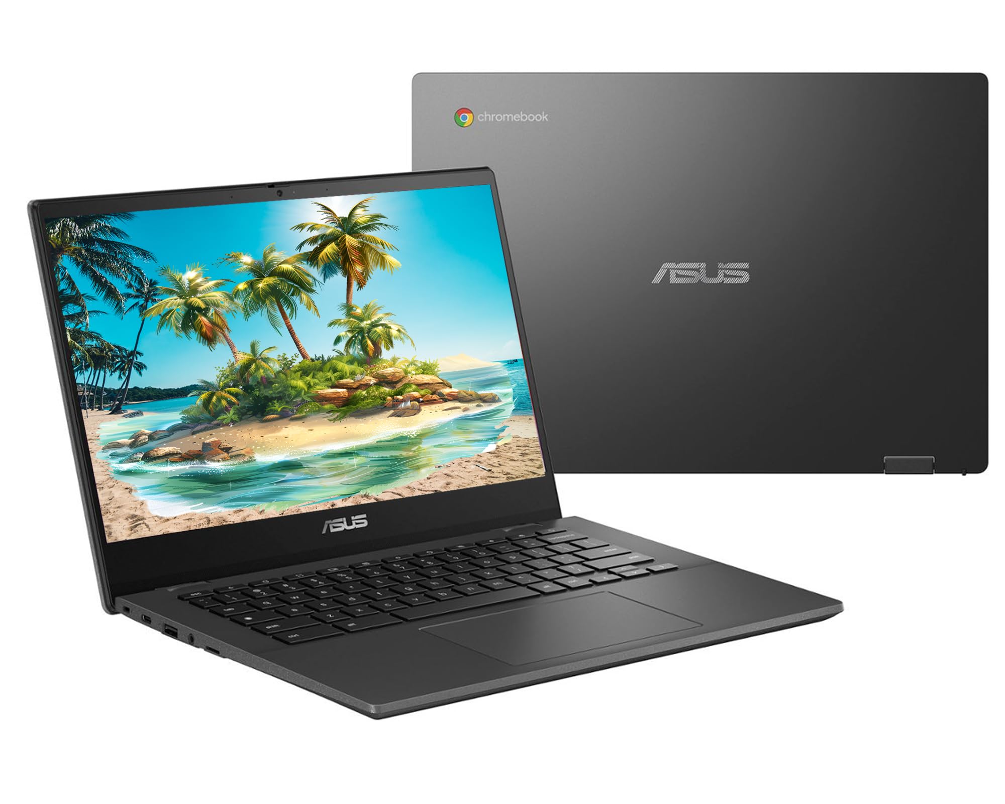 Chromebook本体 ASUS Chromebook Asus Chromebook Flip C214MA-YS02TS Laptop & Chromebook Review