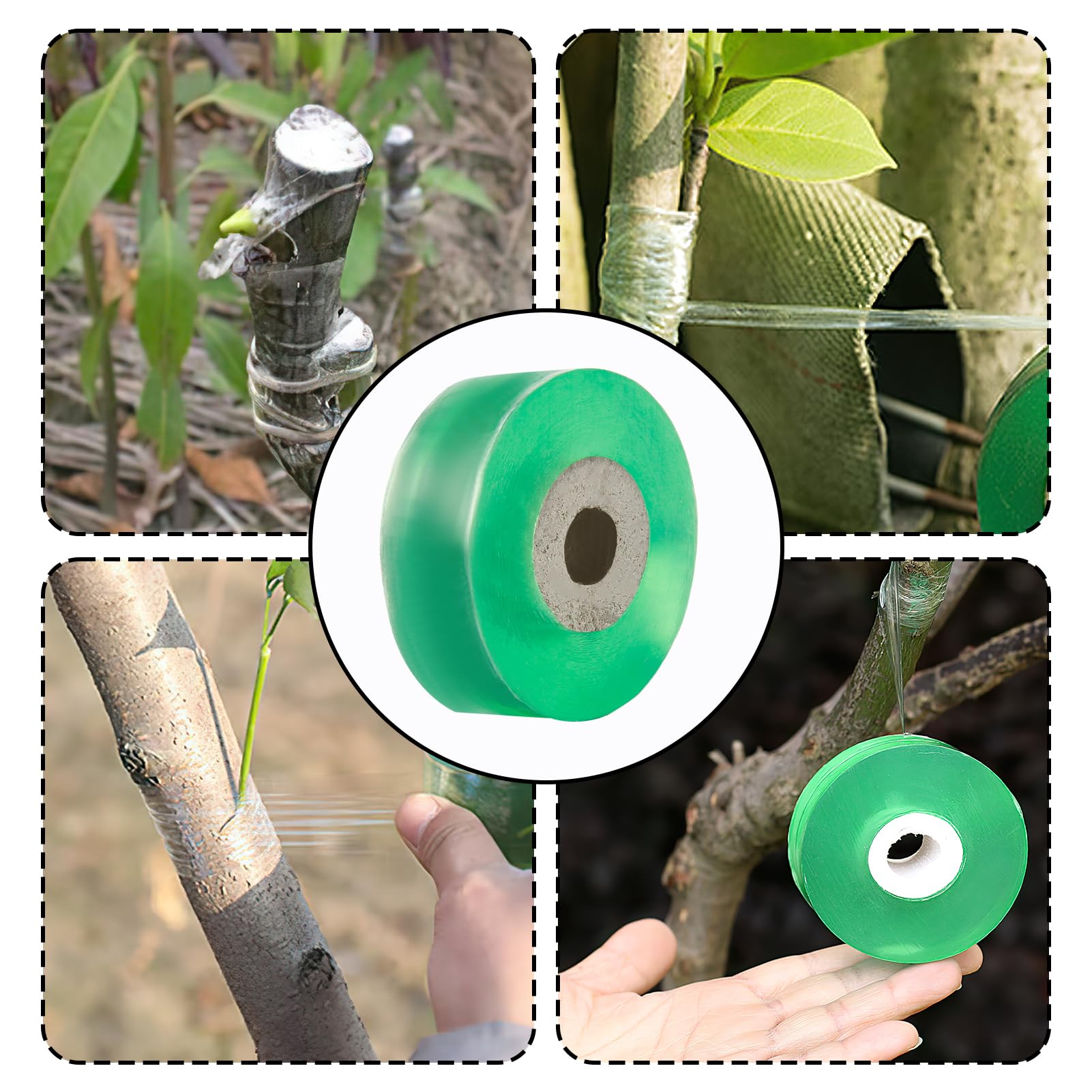 2 Piezas Cinta de Injerto Banda de Injertación 2cm Cinta de Reparación de Plantas Transparente Biodegradable Autoadhesiva Film Injerto Elástica Árbol para Injertar y Reparar Árboles Frutales Verde