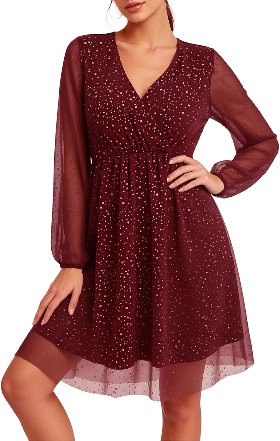 Womens Swiss Dot Mini Dress Sheer Long Sleeve V Neck Party Dresses