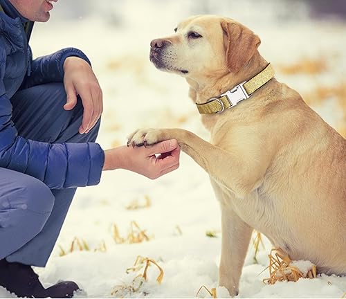 Miniatura 3 de Collar de Navidad para perro con lazo brillante, regalo lindo y divertido juguete de enriquecimiento para perros, accesorios para correa para