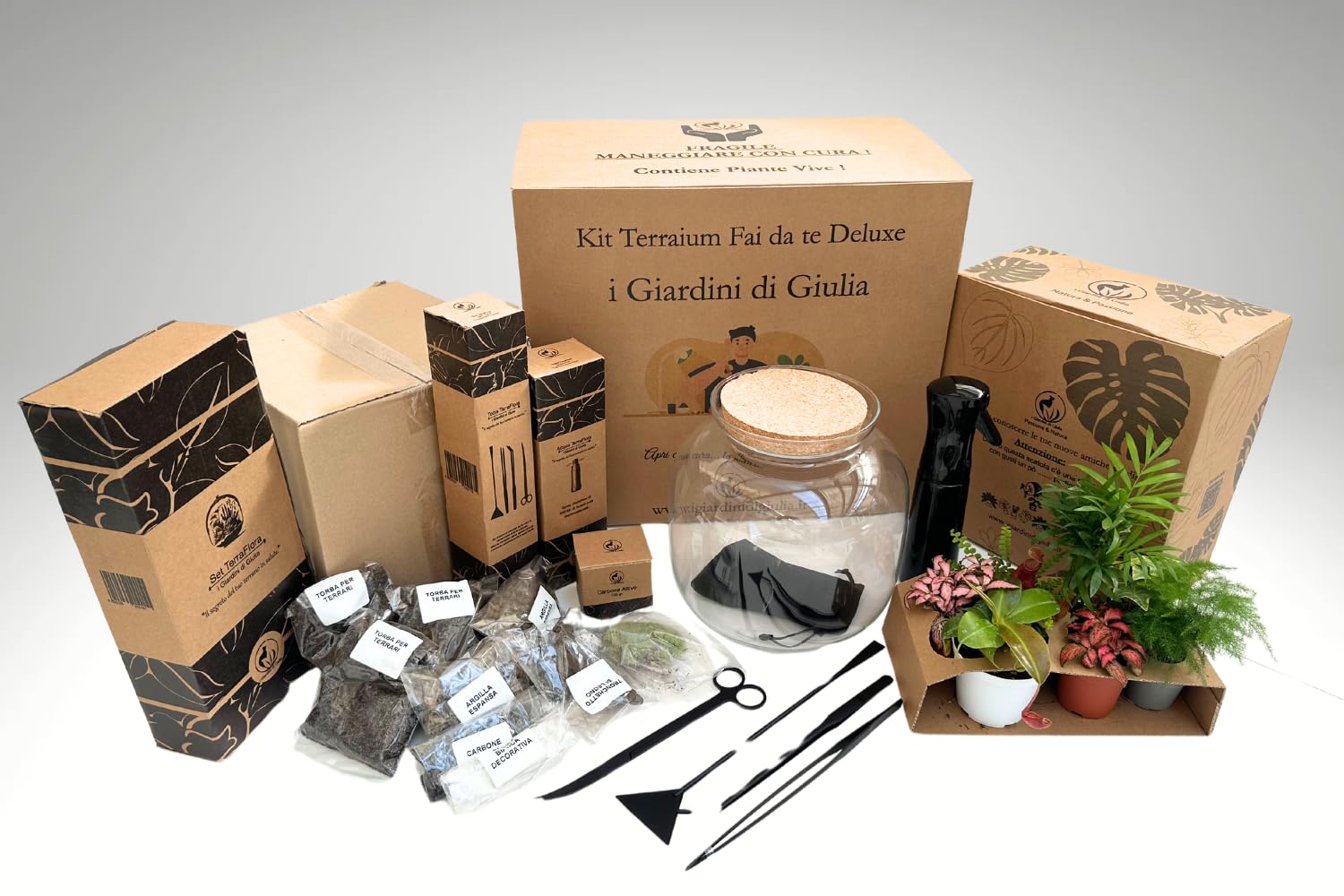 Kit Terrarium Fai Da Te Master: Contenitore in Vetro, 26 cm Circonferenza, 27 cm Altezza, Tappo in Sughero