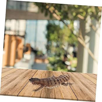 トカゲ プラスチック フィギュア シマテン 新！【動物の惑星ジオラマシリーズ】第四弾 フィリピンホカケ