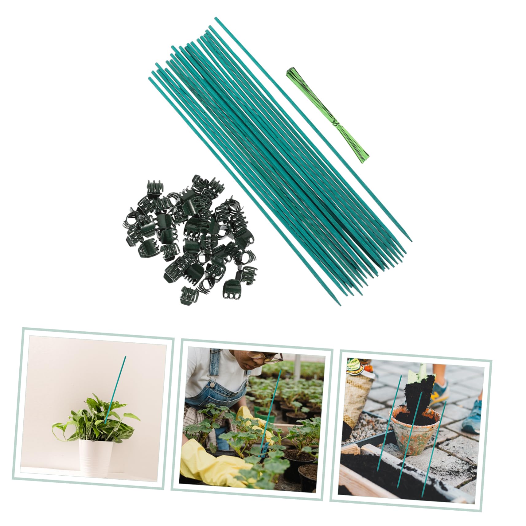 Milisten 3 Sets Pflanzen Bambusstab Blumenarrangementstab Blumenarrangementstab Pflanzenständer Blumen Und Rankenklammern Pflanzenspalier Pflanzenstäbe Unterstützung LED