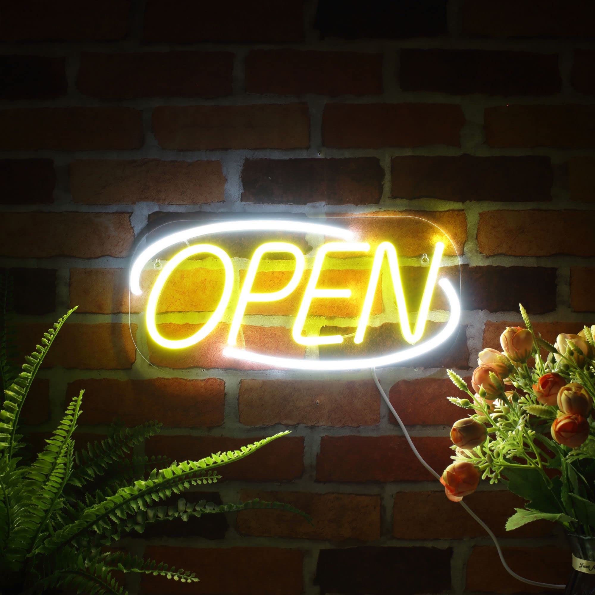 Amazon.com : ADVPRO Open Sign Flex Silicone LED Neon Sign - Orange