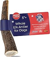 Vista 1 de Devil Dog Pet Co. Elk Antlers for Dogs, Medium 5"+, 1 Pack, Grade A Long Lasting Chew for Aggressive Chewers, Premium USA Naturally Shed Antler