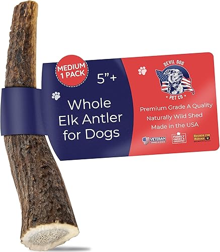 Devil Dog Pet Co. Elk Antlers for Dogs, Medium 5"+, 1 Pack, Grade A Long Lasting Chew for Aggressive Chewers, Premium USA Naturally Shed Antler –