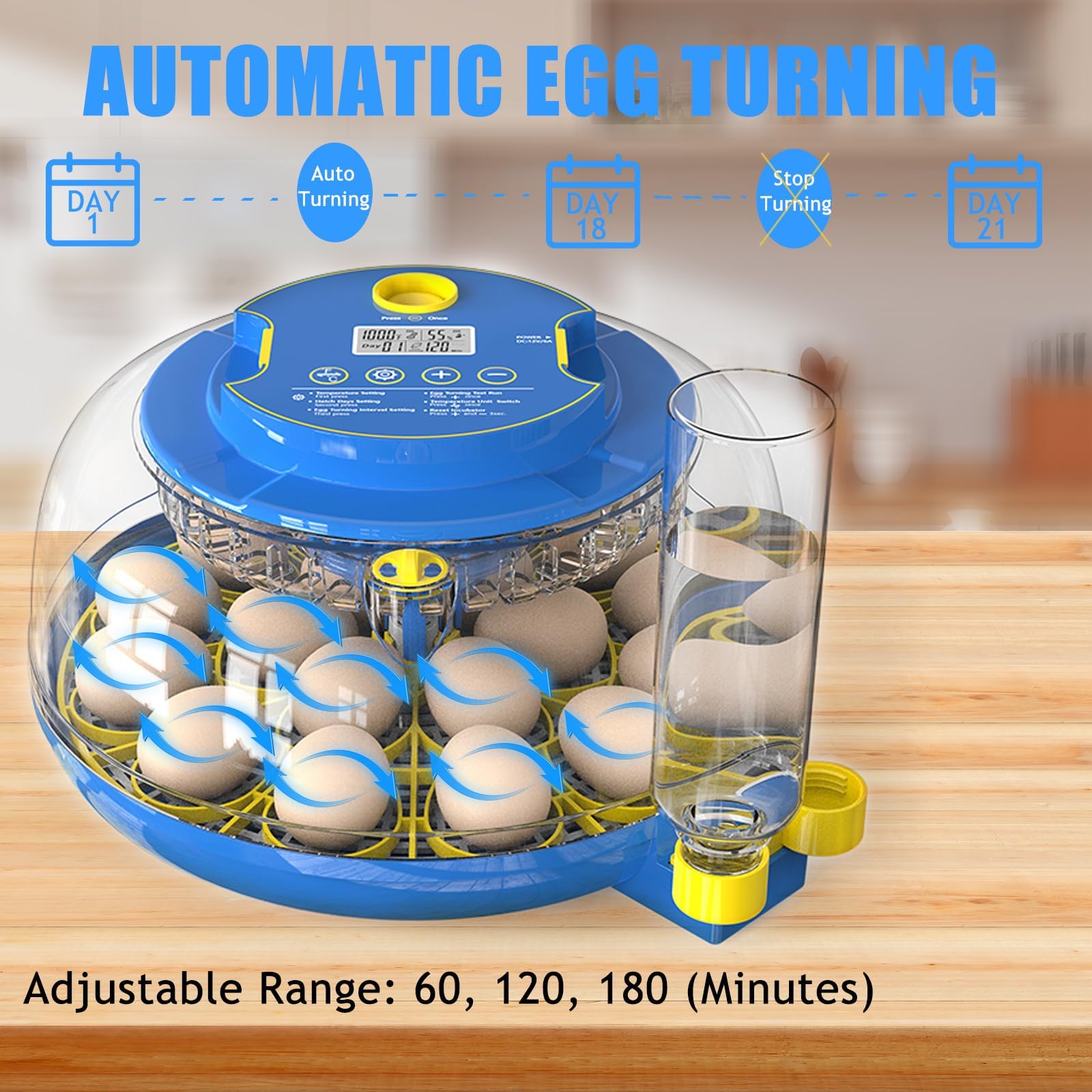 Incubatrici per uova da cova, incubatrice per uova da 18 uova con rotazione automatica delle uova e controllo dell'umidità, vista a 360° Incubadora De Huevos De Gallina, Candela, incubatrice per uova