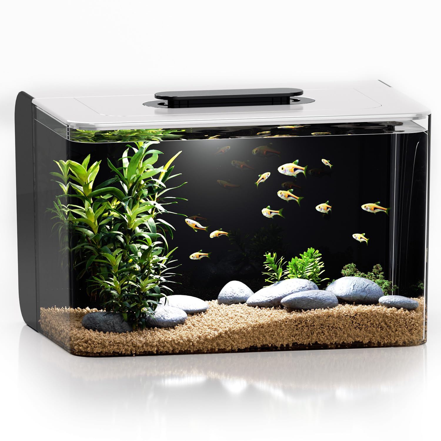 Stand Argos Fish Tank Aquarium Gallon With Adjustable Color