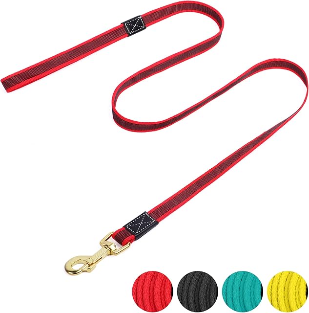Dog Training Lead, Dog Lead 1.5m/5ft with Metal Hook, Dog Lead Leash for Dog & Puppy Training and Daily Walking (Red)