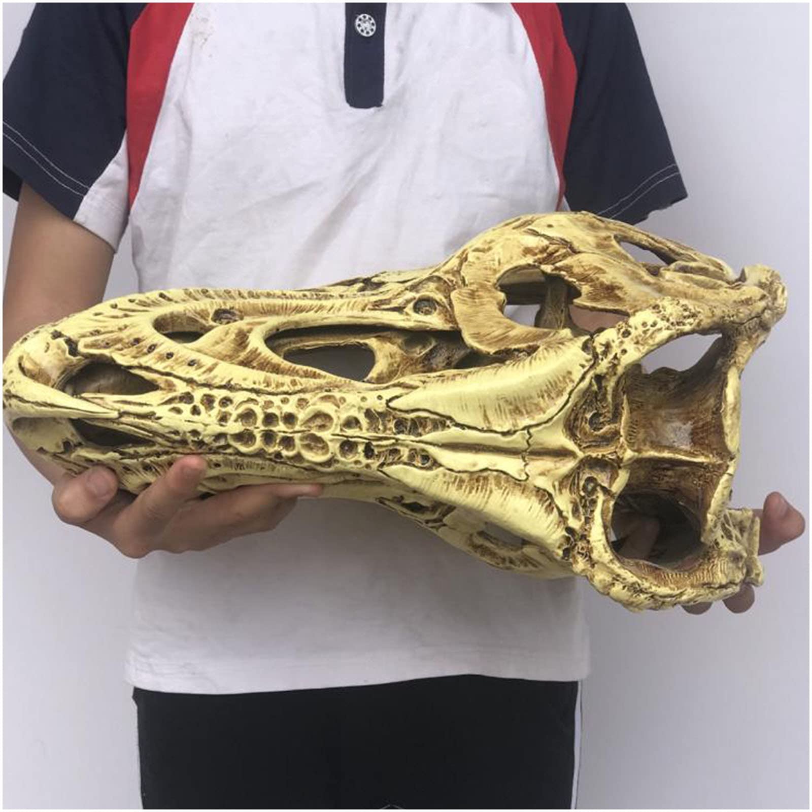 Replika czaszki T-Rexa Model symulowany szkielet zwierzęcia Tyrannosaurus Rex Wystrój biura domowego Rzemiosło Ozdoba na biurko Rekwizyt dydaktyczny