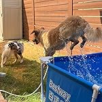 Review Image by Sherry Sherry