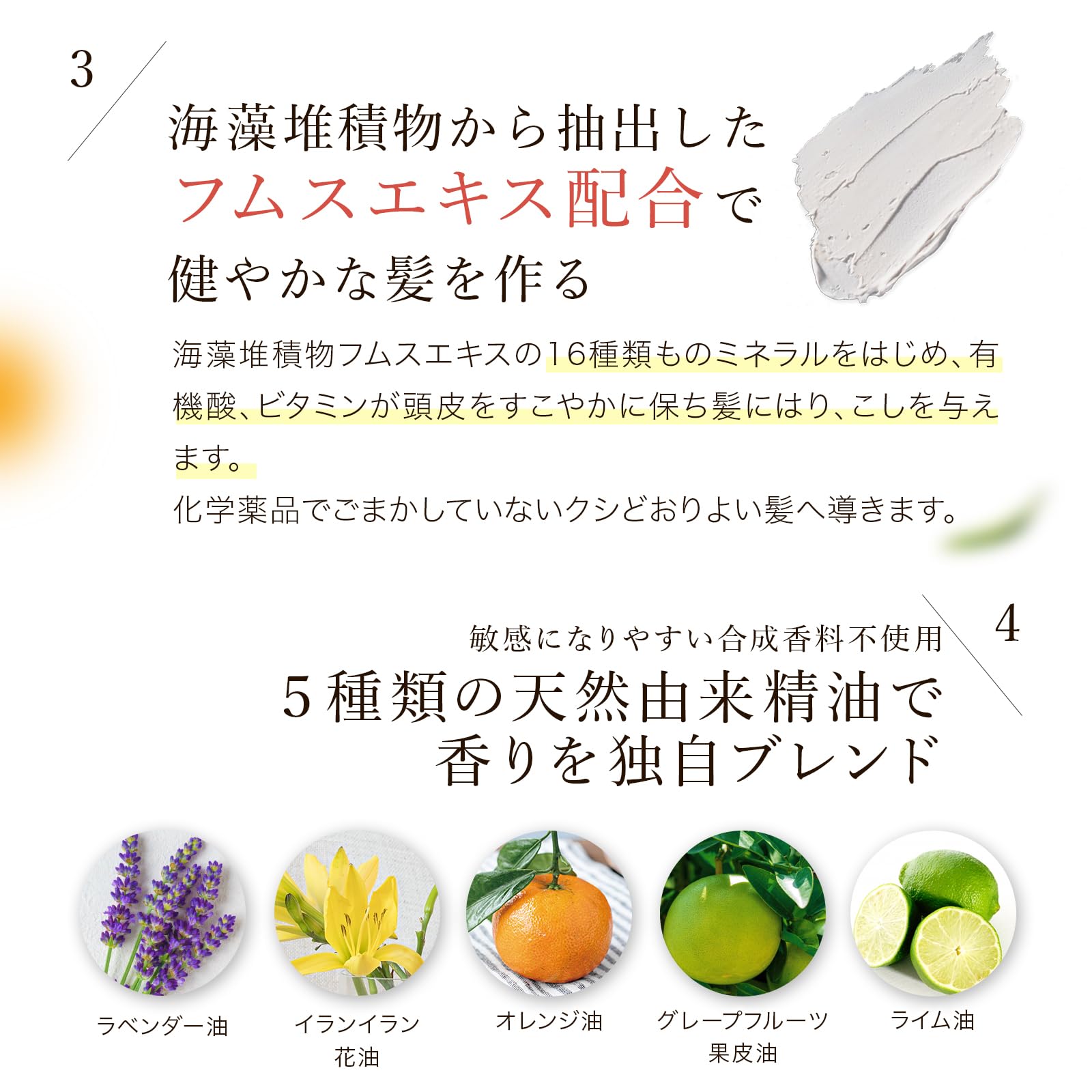 Amazon | ジョイプラン 敏感肌用 シャンプー 無添加 サロン専売 ノン
