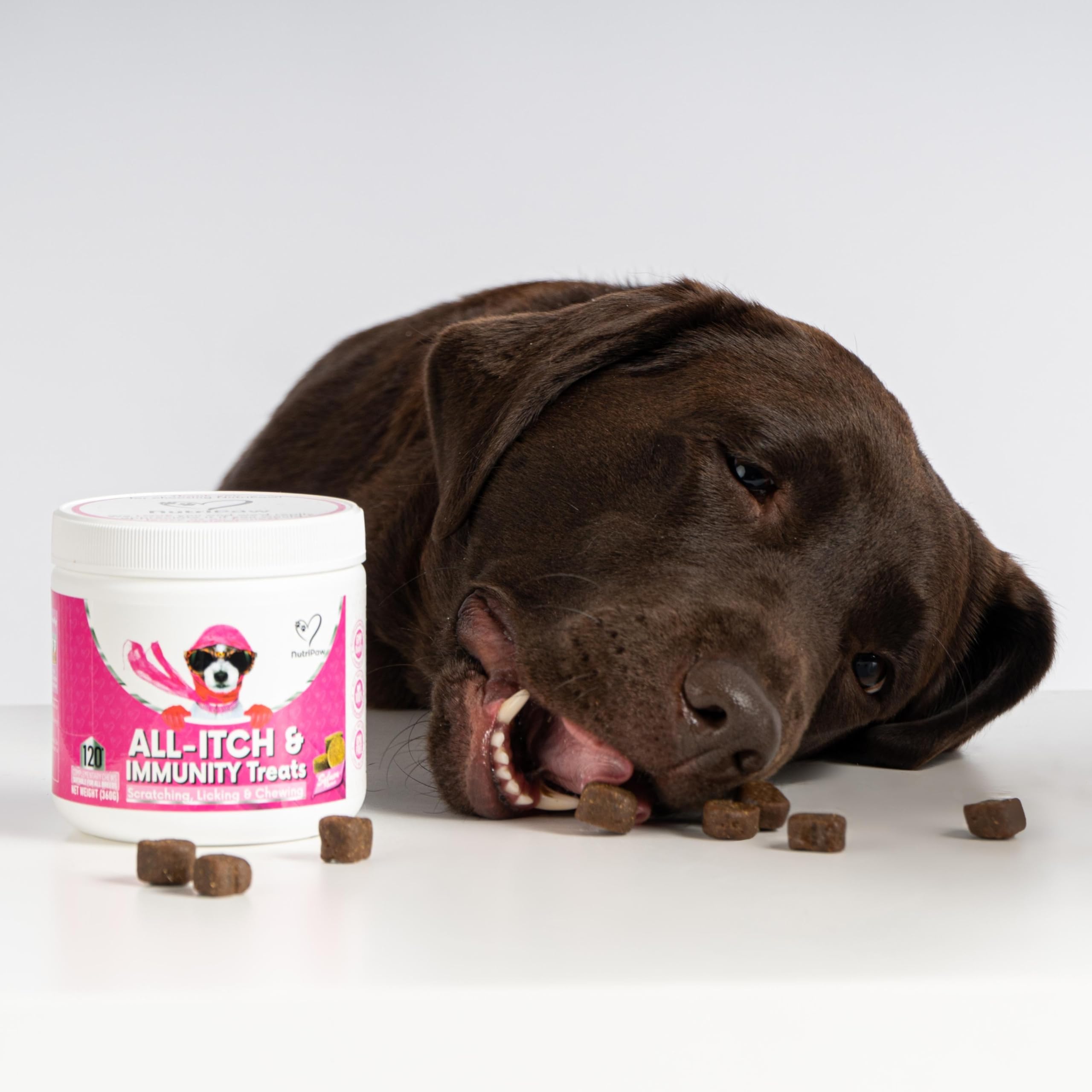 NutriPaw All-Itch Immunitäts-Leckerlis für Hunde - Beruhigt juckende Pfoten, Augen, Ohren, Haut - Beendet Jucken, Lecken, Kratzen - Perfekt für alle Hunde - Unterstützt saisonales Jucken