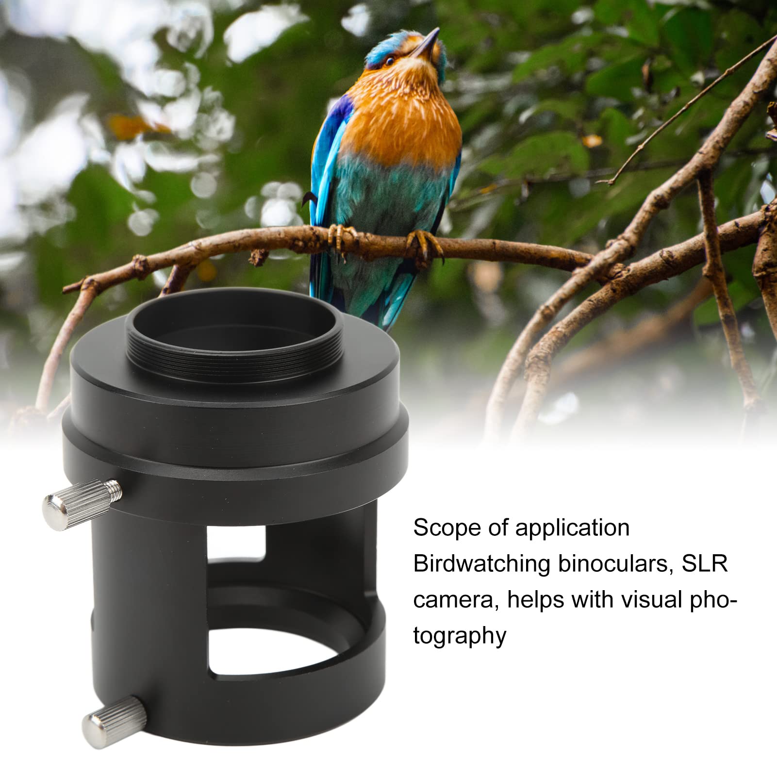 Acouto Anillo de Tubo Adaptador de Cámara para Telescopio Terrestre para Cámara SLR Rosca M42 Montura T2 Lente para Observación de Aves a Adaptador SLR Piezas de Montaje y para Cilindro Aplicable