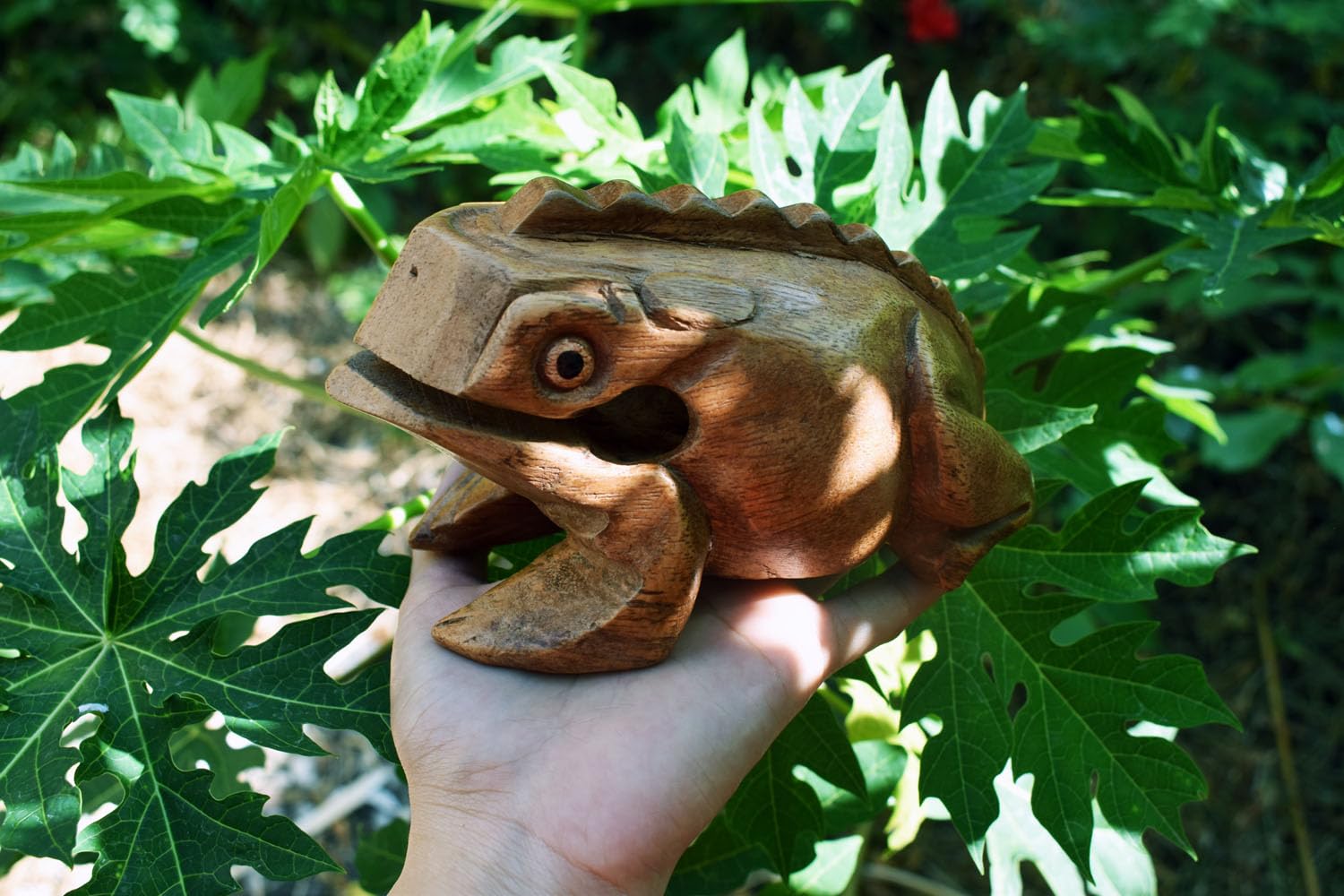 Grenouille Guiro Bloc de bois Instrument de musique Percussion Instrument de musique Taille parfaite Güiro en bois naturel (6,5 pouces - 16,5 cm)