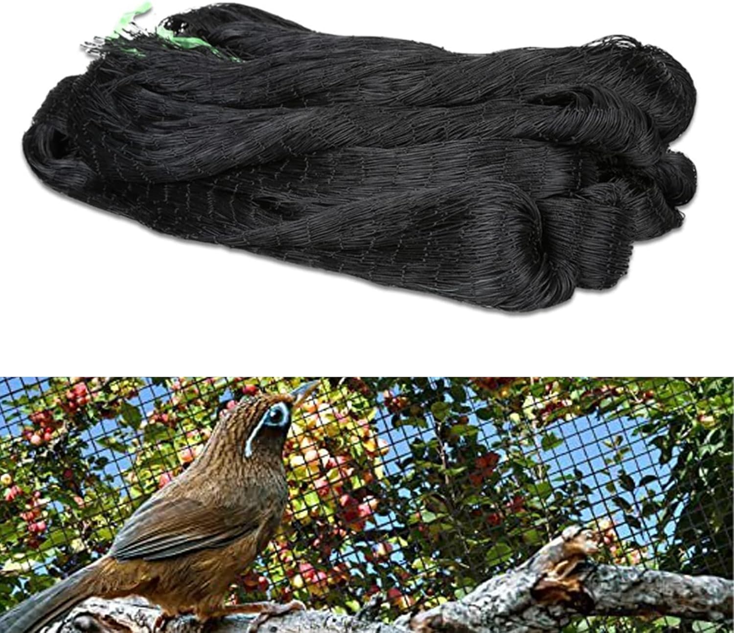 Liwein Vogelbeschermingsnet(5x10m),Vogelnet,Vijvernet,Volièreget,Tuinnet,Geschikt voor de Bescherming van Fruitbomen,Groenten Tegen Vogels,Maaswijdte 2,5×2,5cm Vogelbeschermingsnet