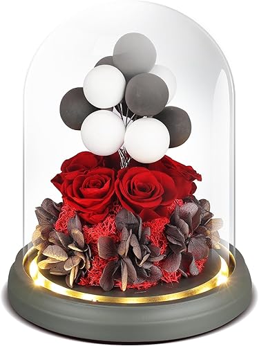 Rosa 100% real en cúpula de cristal, flores preservadas con luz LED, flor eterna con decoración de globos de arcilla, para cumpleaños, aniversario,