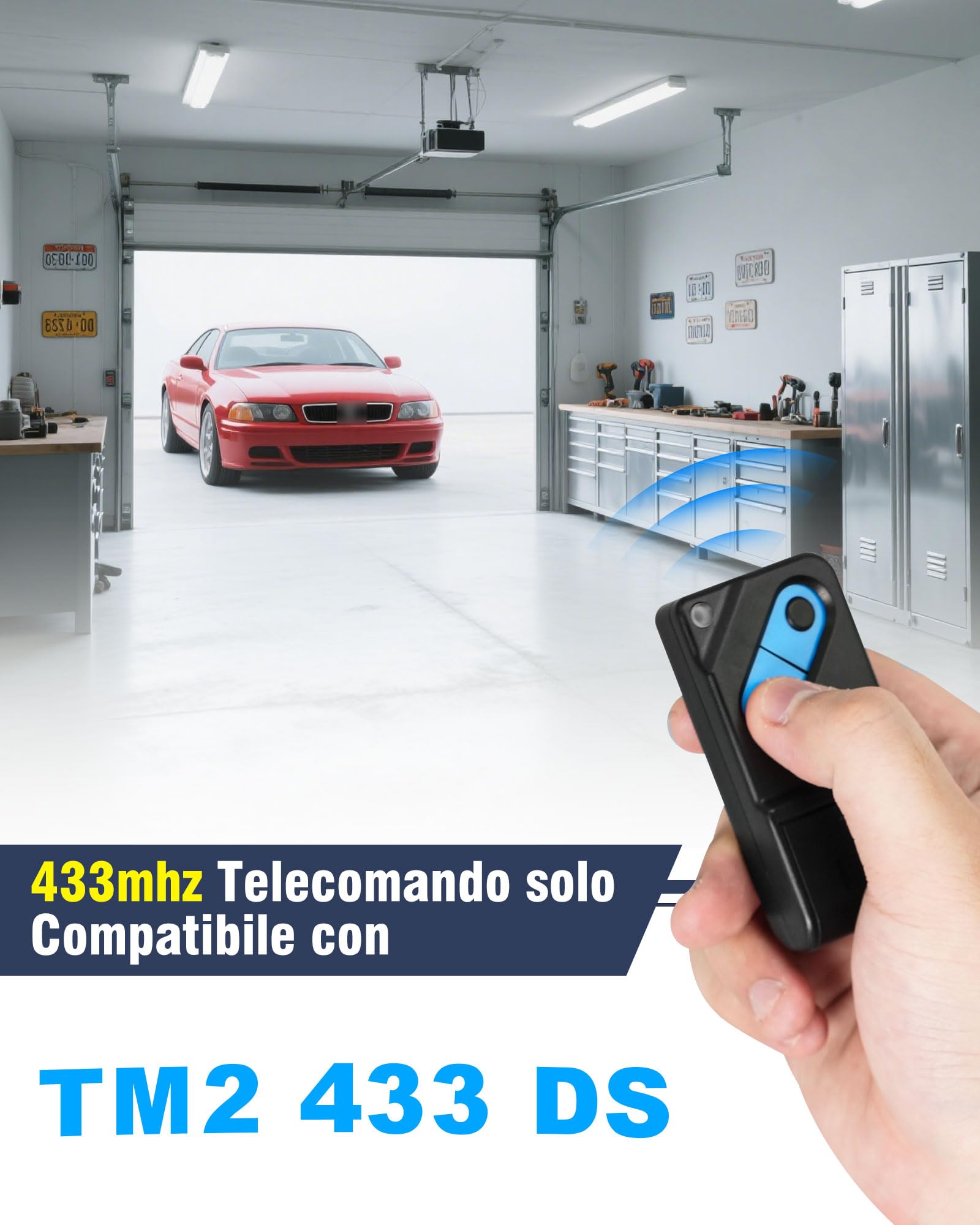 RUIZHI Mando a distancia para TM2 433 DS (2 canales, 433 MHz, 2 unidades)