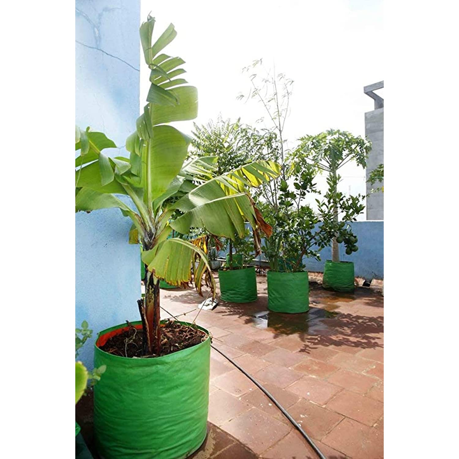 Janani 24x24 Inch Big Size [Pack of 4] Grow Bags for Terrace Gardening | Plant Bags for Home Garden | Premium HDPE UV Treated (Green Color, Pack of 4) (B0C18TTGLX) Amazon Price History, Amazon Price Tracker