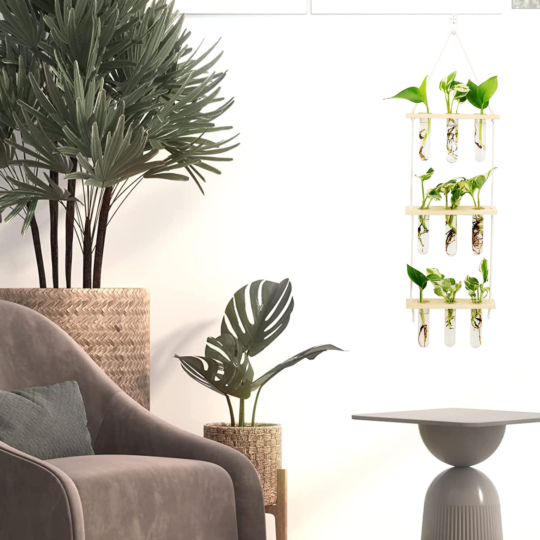 PLCPDM Vaso decorativo per provette e supporto in legno per piante idroponiche, provette di vetro, vaso di fiori per decorazioni per ufficio