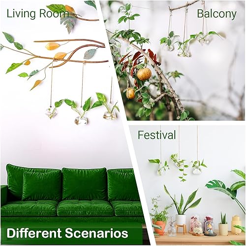 Miniatura 5 de Ivolador - Terrario de cristal colgante, maceta para plantas hidropónicas, decoración para el hogar