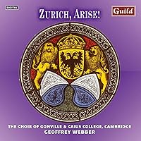 Vista 1 de Zurich Arise!