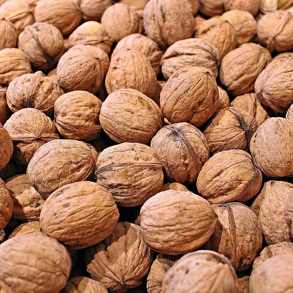 Paul´s Mühle Walnüsse in Schale Grenoble Speisequalität 5 kg Neue Ernte 2025