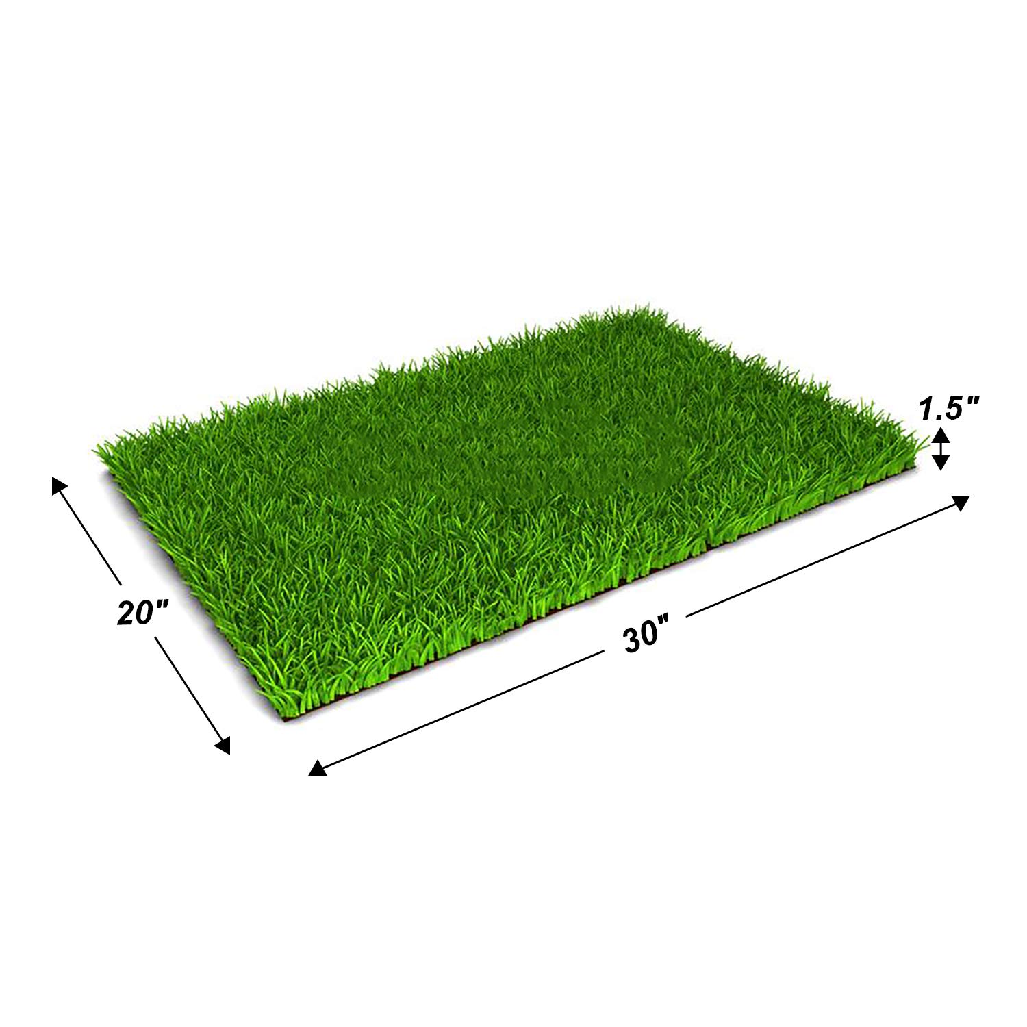 imhapPEE Ultra Soft Artificial Grass Rug for Dogs - Realistic 4 Tone Puppy Potty Training 20" by 30" 1