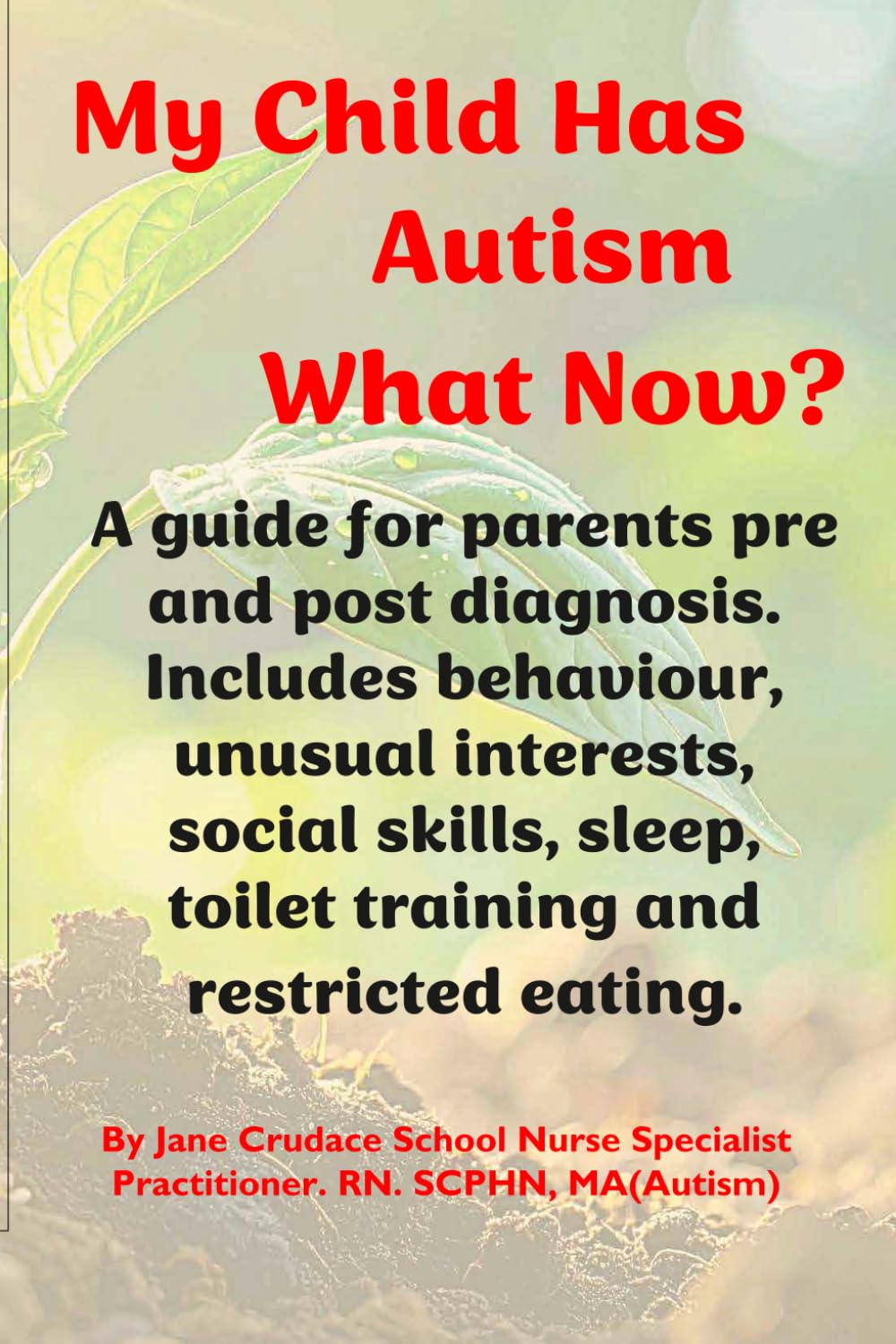 My Child Has Autism..........Now What?: A guide for parents and carers